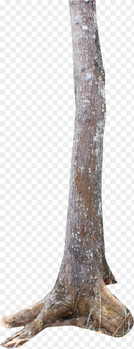 Thumb Image Tree Trunk Png Transparent Png