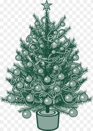 Christmas Tree X Mas Christmas Fir Tree Tree
