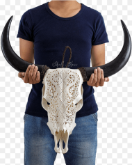 Carved Cow Skull Xl Horns Goat Skull Viking
