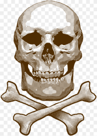 Skull and Cross Bones Skull Toxic Bones Skeleton