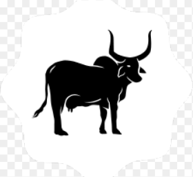 Ox Clipart Gir Cow Hd Png Download
