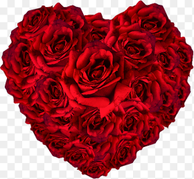 Red Roses Heart Png Rose Flower Bokeh Png