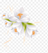 White Flowers Beautiful Flowers Flower Decorations  White