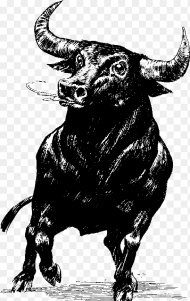 Bull Transparent Png Not My Cows Not My