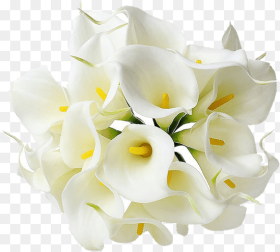 Flowers Mala Png Calla Lily Flower Png