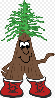 Cartoon Redwood Tree Hd Png Download