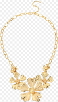 Necklace Jewelry Accessories Freetoedit Necklace Png