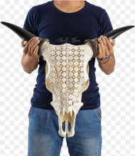 Carved Cow Skull Firearm Hd Png Download