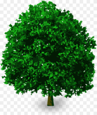 Tree Without Background Png Transparent D Tree Png