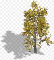 Preview Tree Axonometric Png Transparent Png