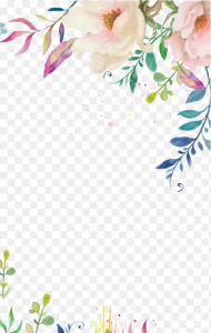 White Watercolor Flower Png Decorative Floral Border Png