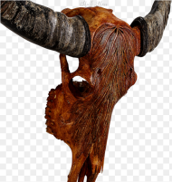 Animal Skulls Cattle Horn Bull Hd Png Download