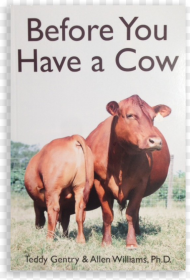 Before You Have a Cow Hd Png Download