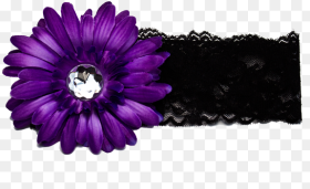 Purple Flower Images Free  Png Dark Purple