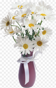 Vase of Flowers Hd Png