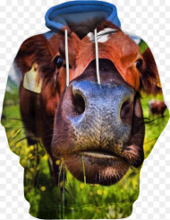 Transparent Cute Cow Png Photograph Png Download