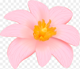 Exotic Pink Flower Clip Art Png Image Flower
