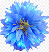 Blue Dahlia Flower Png