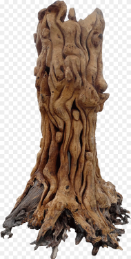 Sculpture of Tree Roots Hd Png Download