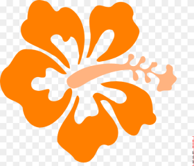 Orange Hibiscus Flower Clipart Hd Png