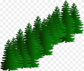 Evergreen Cluster Clip Art Vector Pine Tree Png