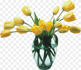 Vase of Flowers Png