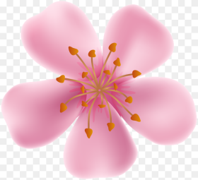 Spring Blooming Flower Clip Art Image Flower Blooming