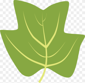 Tulip Tree Leaf Clipart Hd Png Download