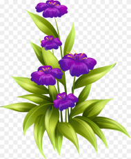 Purple Flower Border Png Birth Day Wishes