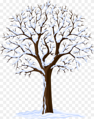 Transparent Background Tree Clipart Black and White Hd