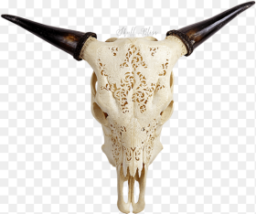 Cow Skull Png Horn Transparent Png