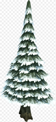 Snow Pine Tree Png Transparent Png