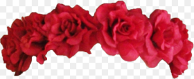 Red Rose Flower Crown Flower Crown