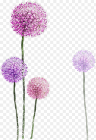 Watercolor Purple Flower Painting Dandelion Free Frame Dandelion