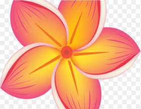 Clipart Flower Hd Png