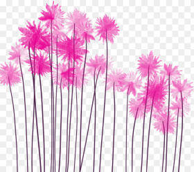 Pink Watercolor Flowers Png Pink Flowers Flower