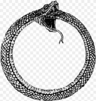 Snake Circle Snake Circle Png