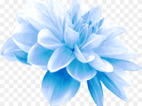 Teal Clipart Blue Green Flower Light Blue Flower