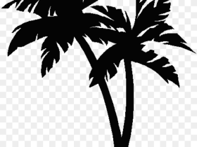 Palm Tree Clipart Palm Trees Vector Png Transparent