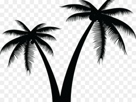 Transparent Tree Vector Png Vector Palm Tree Png