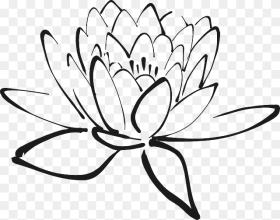 Lotus Flower Clip Art Black and White Hd