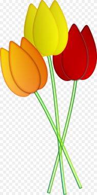 Tulips Flowers Spring Png Image Tulips Flowers