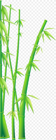 Bamboo Vector Clipart Png Download Kung Fu Panda