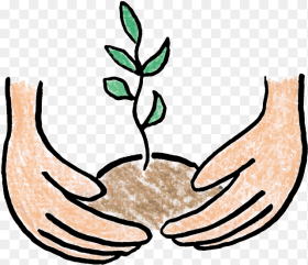 Planting Plant a Tree Clip Art Hd Png