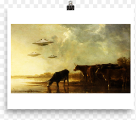 Saucers and Cattle River Landscape With Cows Hd