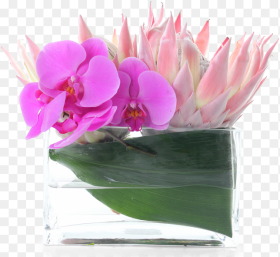 Artificial Flower Png cup