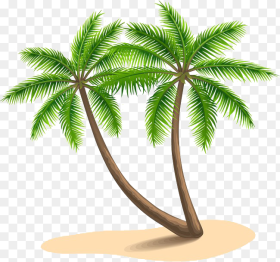 Long Coconut Tree Png Images Coconut Tree Clipart