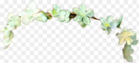 Small Flower Crown Png 