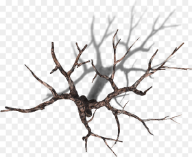 Dead Tree Top Down Hd Png Download