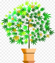 Plant Flower Leaf Houseplant Hd Png Download